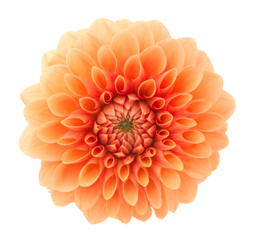 BOTANICUM Hofmüller OG in Bad Schallerbach