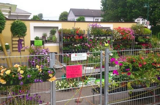 BOTANICUM Hofmüller OG in Bad Schallerbach BOTANICUM Hofmüller OG in Bad Schallerbach
