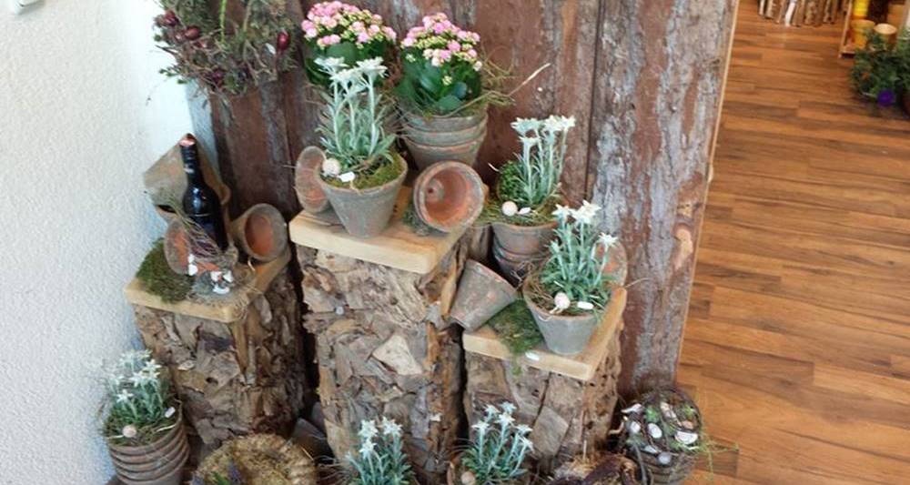 BOTANICUM Hofmüller OG in Bad Schallerbach BOTANICUM Hofmüller OG in Bad Schallerbach